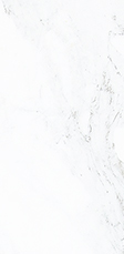specification_02_01.jpg